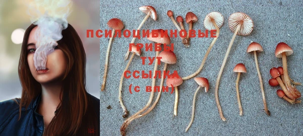 СК Заволжье