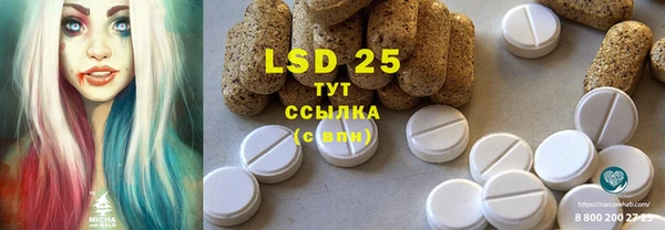 ПСИЛОЦИБИНОВЫЕ ГРИБЫ Кукмор