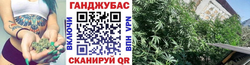 где можно купить наркотик  мориарти формула  Марихуана сатива  Кимовск 